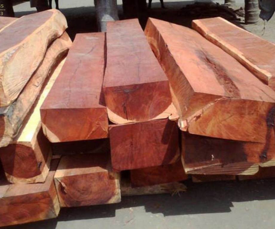 Gỗ gụ là gì? Đặc điểm, phân loại, ưu nhược điểm và ứng dụng Gỗ gụ là gì? Đặc điểm, phân loại, ưu nhược điểm và ứng dụng