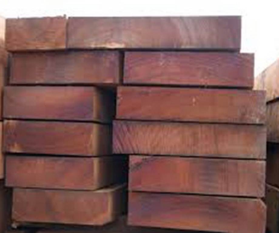 Gỗ trắc là gì? Cách nhận biết gỗ trắc thật Gỗ trắc là gì? Cách nhận biết gỗ trắc thật